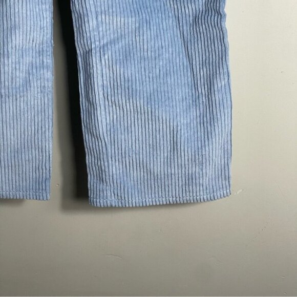 Aritzia Sunday Best Harvey Pant in Dune Blue size 4 corduroy slouchy pleated NWT - Picture 7 of 14